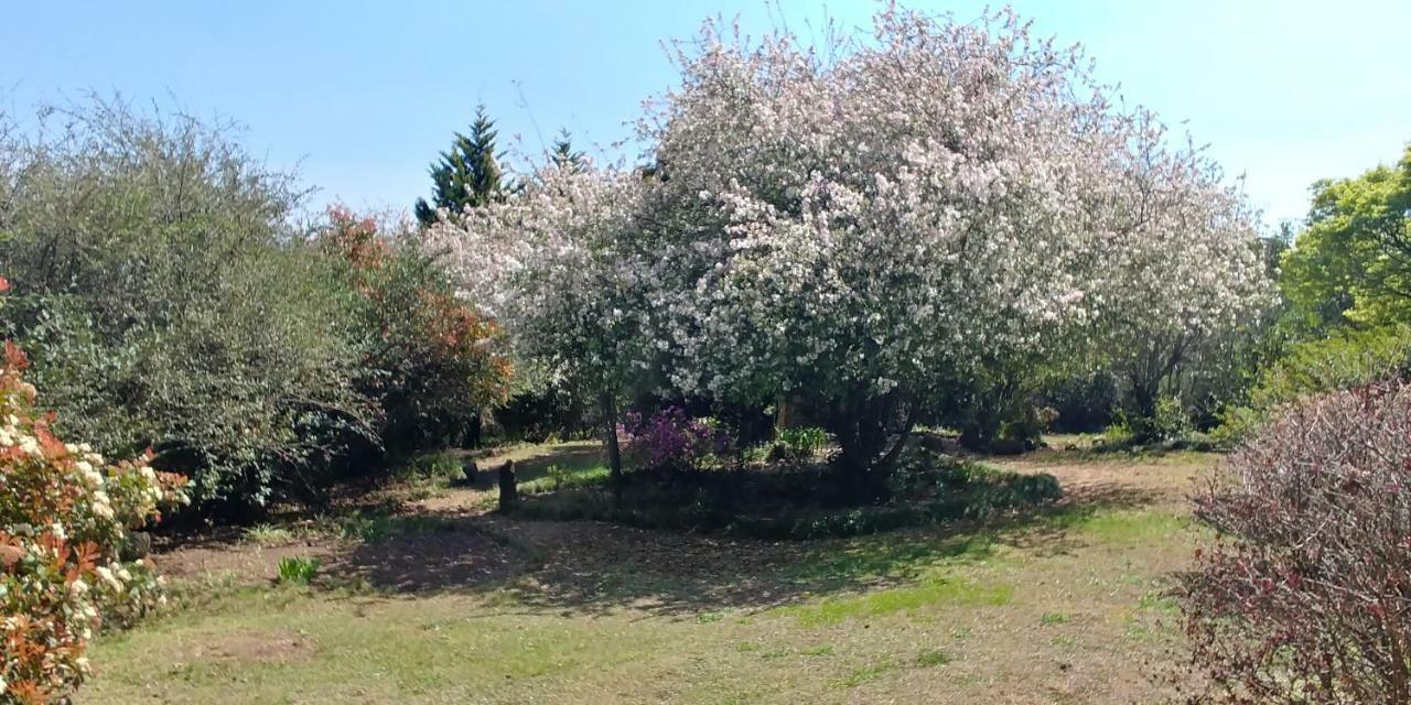 Pin Oak Cottage Underberg Eksteriør billede
